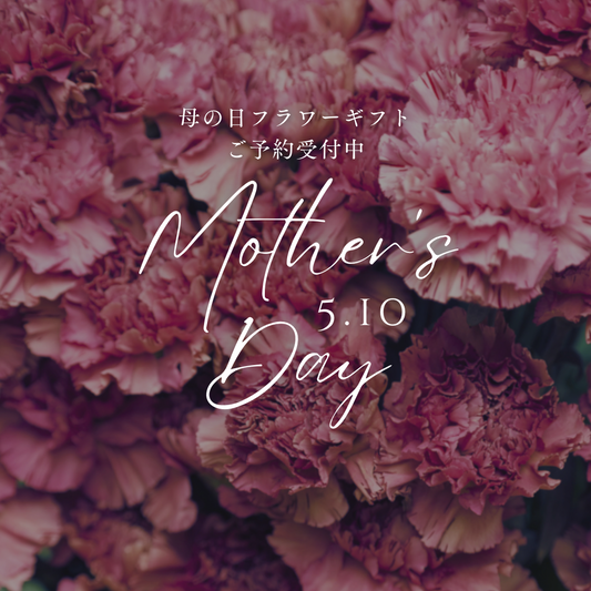 2026年母の日ギフト受付開始